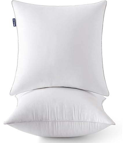 Amazon.com: HITO 20x20 Pillow Inserts (Set of 2) - Down